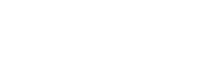 Banabisneaker
